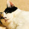 かあちゃんを見下す目つきがたまらない