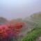 霧の葛城山　３