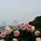海を見渡す