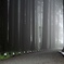 deep  forest