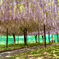 農業公園にて