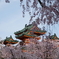 平安神宮