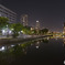 淀屋橋（夜）