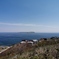 焼尻島を望む