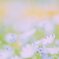 spring path 190