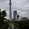 東京スカイツリー