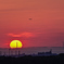 橋と夕陽