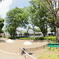 プリンさかさま公園