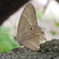 RSCN0313