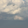 FLY＆SHIP