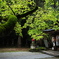 等彌神社