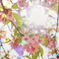 八重桜