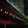 強雨でござる