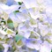 まだ早い・・・