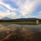 5月の田園