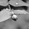 梅雨間近