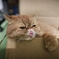 いい湯だな～♪