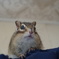 DSC04070