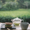 新茶の香 ☘ *°