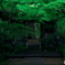 京の青モミジ
