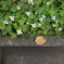 そこにある
