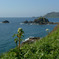 礼文島海岸