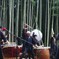 手賀沼・太鼓サミット③