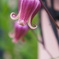 DSC02351