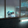 ANZ_8009
