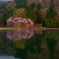 薄明(うすみ)の桜　P1074723zz