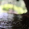 IMG_2372