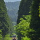 平地へ