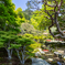 旧竹林院 6