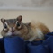 DSC04471