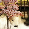 風景_May2025