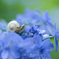 after the rain+*:ﾟ+｡.☆