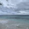 海