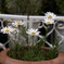 _1040554_DxO