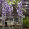 PSX_20250504_175509