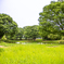 昭和記念公園