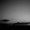 dawn