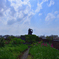 屋上庭園