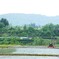 魚沼の田園風景！