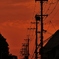 夕焼け空に・・。