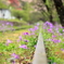 廃線と花