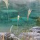 清流