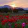 夕暮れ