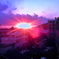 夕陽 sunset