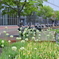 旭川駅前の公園