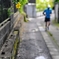 雨上がりに